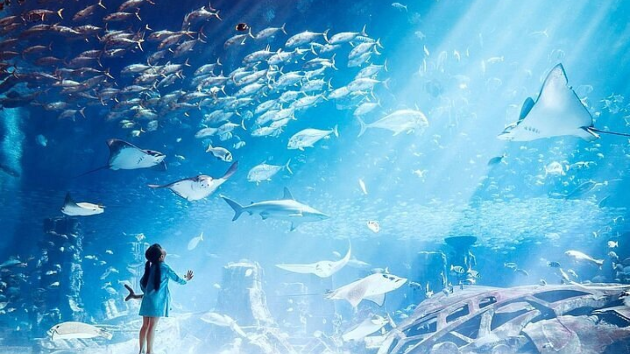 Evicted Tenant Leaves Behind Giant Aquarium and $22,000 in Unpaid Rent